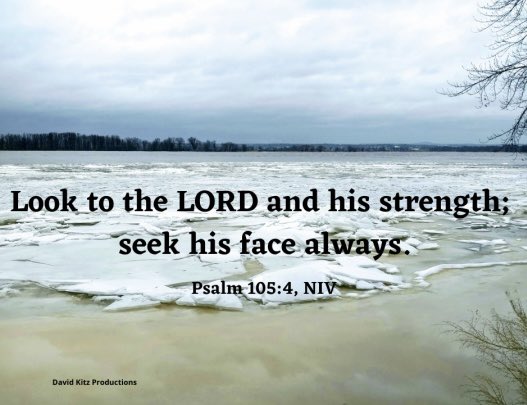 Good Sunday Morning Dear Friends. I hope you are all enjoying your day. Seek the Lord in all that you do. Give Him your needs and wait upon Him. Let His strength lift you up. Don’t look to the world. Look to Jesus. Believe in this. Amen. 🩵🙏🏼🩵