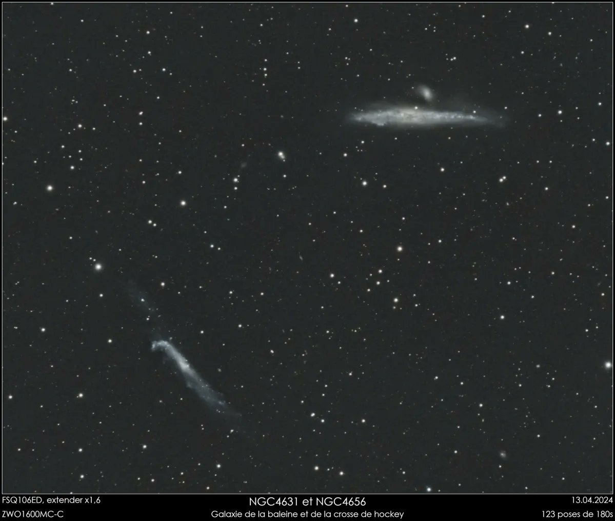 📷🔭Galaxie de la Baleine ou Caldwell 32 (NGC 4631)

Est une galaxie spirale barrée vue par la tranche dans la constellation des Chiens de chasse.

Crédit : @Gerard31_astro

#Galaxie #astrophoto #Astronomie