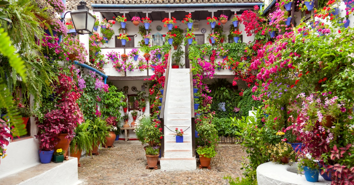 Did you know?🤔

#Cordoba's Courtyards Festival turns streets into floral mazes.💐Locals showcase their vibrant displays of geraniums, carnations, & jasmines against whitewashed walls. Dive into this world of floral wonder!🌸

👉 tinyurl.com/3285dwja 

#VisitSpain #SpainEvents