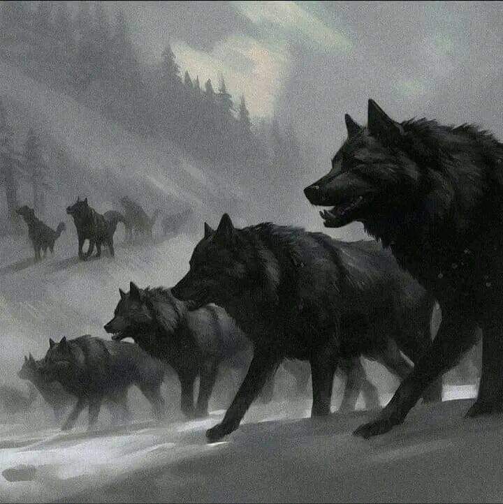 Ordun güçlü degilse masada istedigin kadar haklı ol kimse duymaz seni ✋