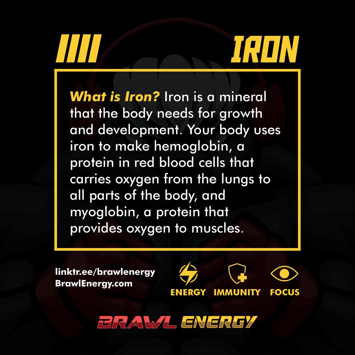 Brawl Energy ingredient education: Iron! #brawlenergy #energydrink #healthylifestyle #fitness #energy #immunity #focus #mind #body #igniteyourinnerhoneybadger