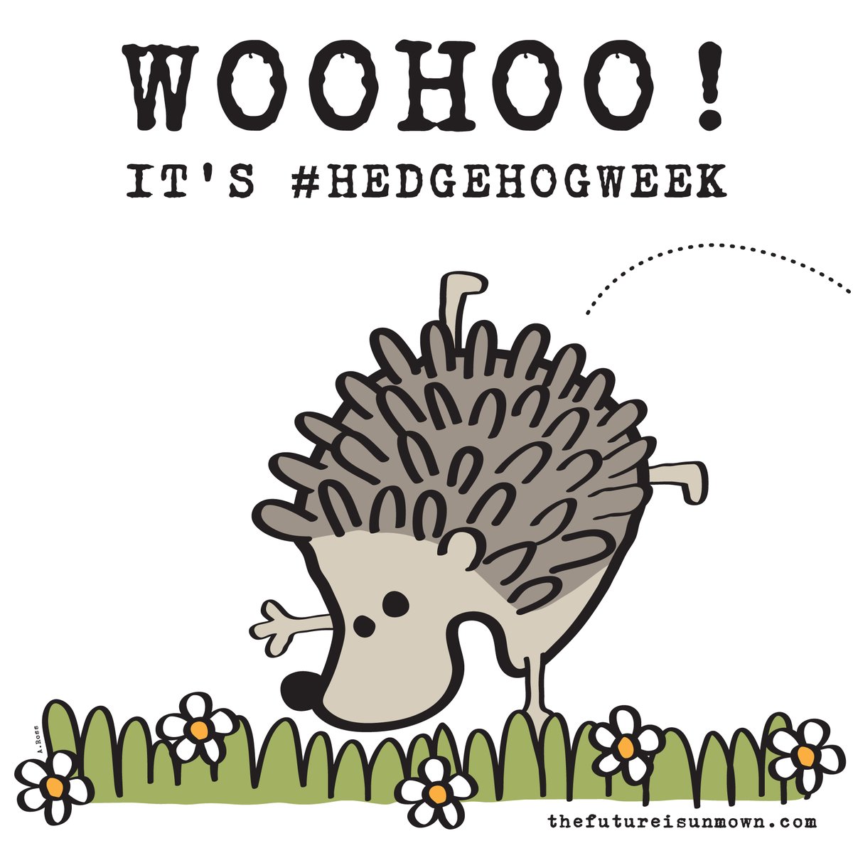 Gary's very happy! 😄🦔💚 #HedgehogWeek #hedgehog #hedgehogawarenessweek #hedgehoglove #hedgehoglife #hedgehogrescue #thefutureisunmown