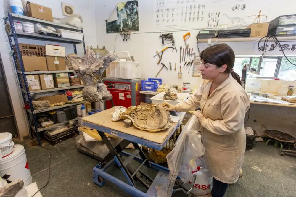FDinosaurios's tweet photo. Salas terminará el @MDinosaurios con 230.000 euros (vía @diariodeburgos) 
Se destinarán al almacén y al taller-laboratorio, zona que se pretende hacer visitable. Se trata la principal inversión del presupuesto recién aprobado, que asciende a 3,12 millones. https://t.co/ydPBiO2a6Y https://t.co/kGBhpoU3lf