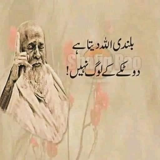 بےشک عزت اور زلعت اللھ کے ہاتھ ہے