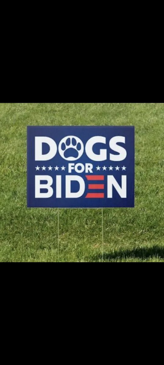 timfoster95's tweet image. Democrats are even giving dogs the vote. Not just illegals.