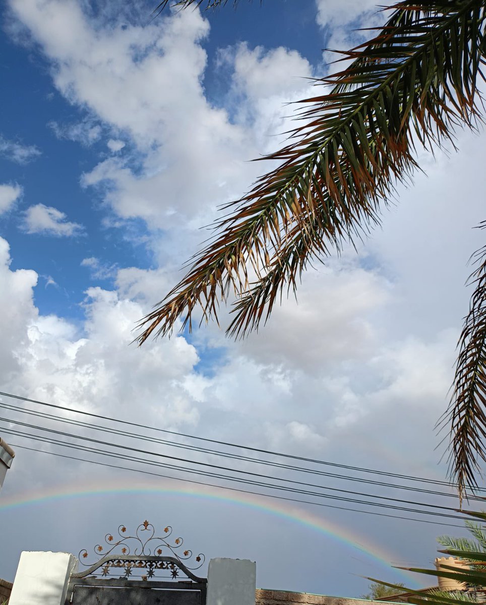 جعلان 
وانت صغير تفكر تمشي عليه