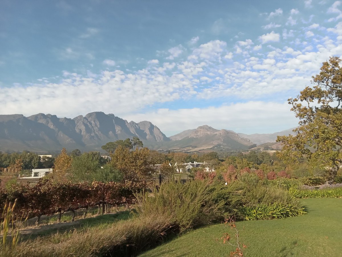 Lunch today in beautiful #franschhoek