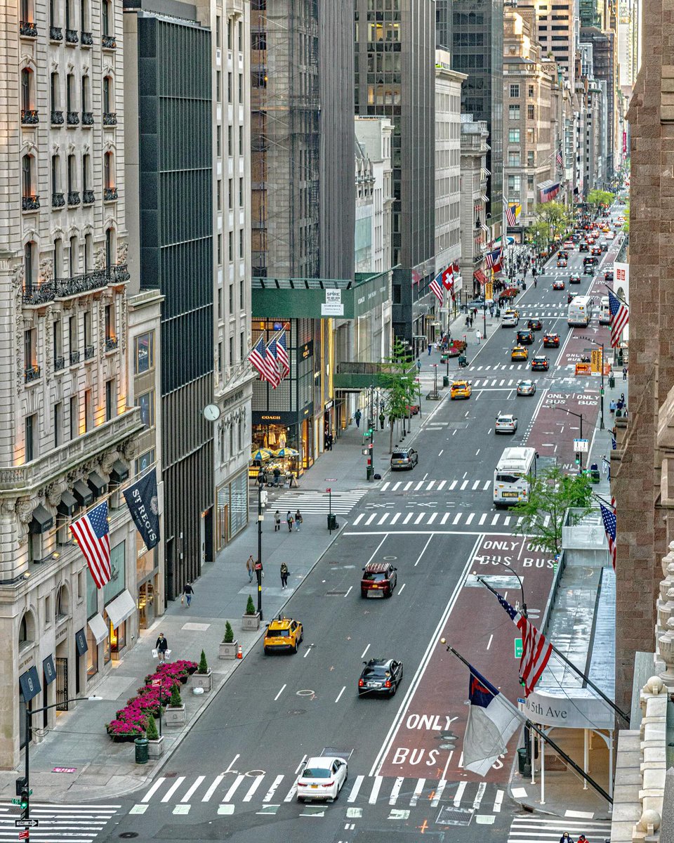 Fifth Avenue  🗽 
One of the most famous streets in NYC.
➢ Credit 👉🏆📸 @mingomatic
.
#conexaoamerica #mysecretnyc #nycityworld #fifthavenue #newyorkcity #newyork_world #nycprimeshot #centralpark #nycparks #nyclife #dronephotography #plazahotel #manhattan #dronestagram