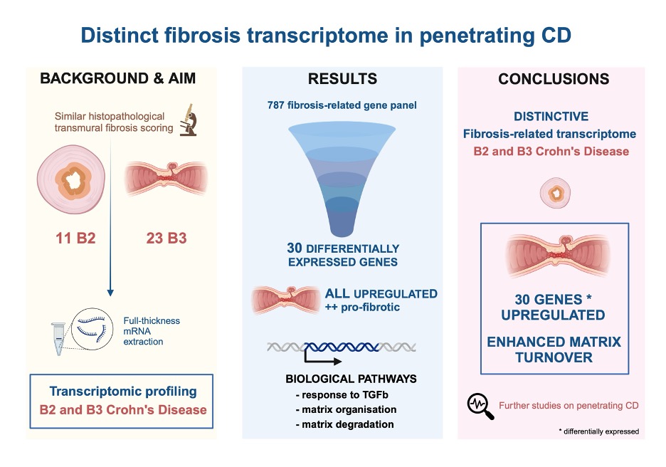 #Fibrosis-related transcriptome unveils a distinctive remodeling matrix pattern in #penetrating ileal #CD de Sousa et al. @FernandoMagro6 academic.oup.com/ecco-jcc/advan…