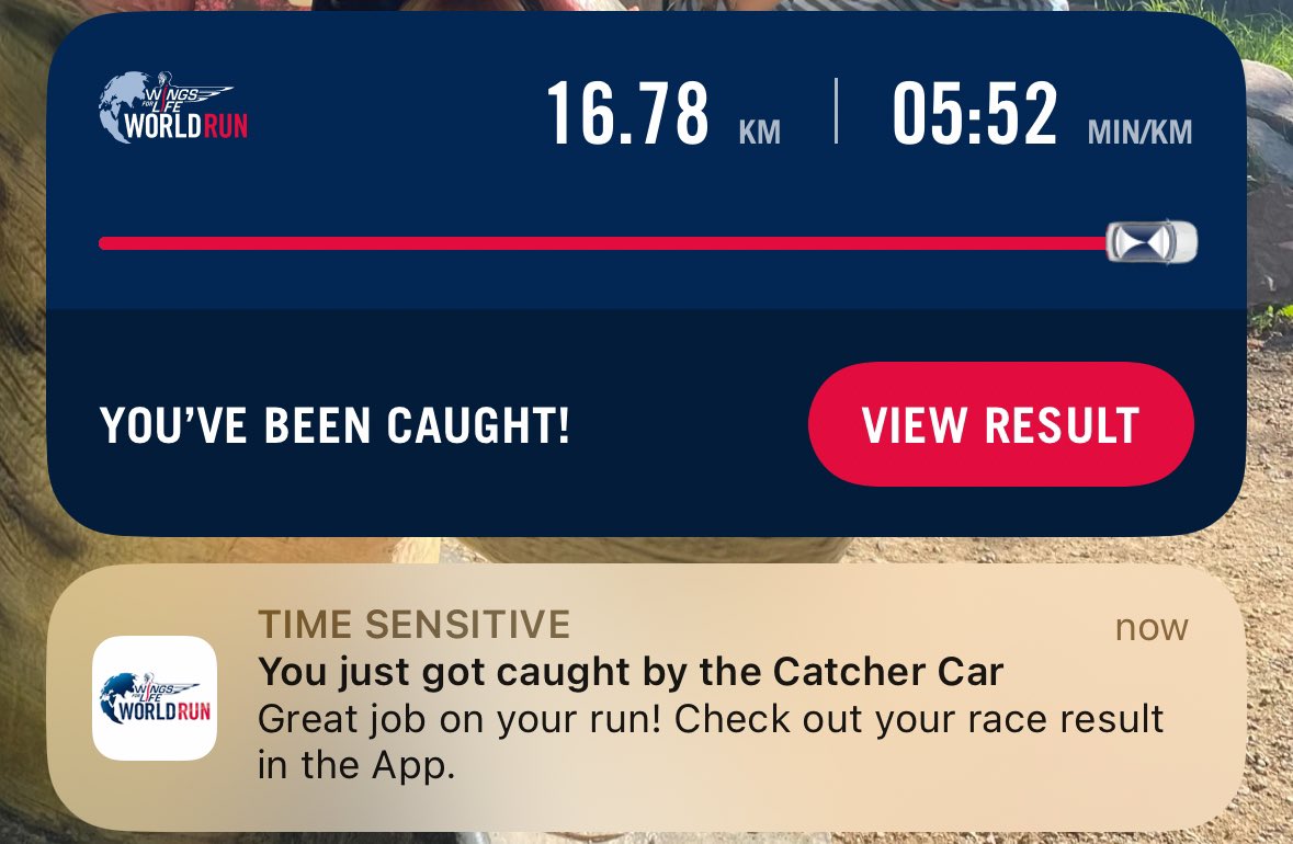 _schomi_ tweet media