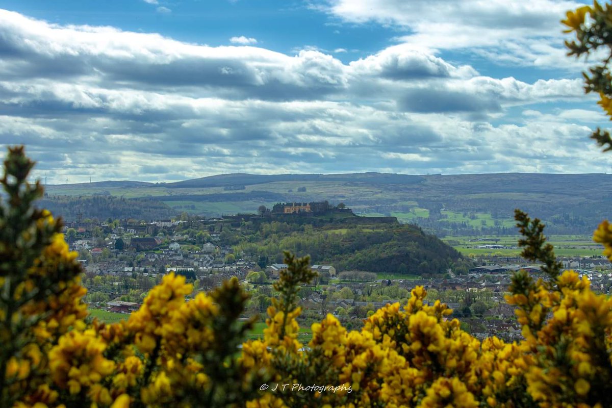 View of the mighty Stirling Castle from one of the viewpoints at The National Wallace Monument 🏰🌻

@stirlingcastle @TheWallaceMon @VisitScotland @StirlingAWS 🏴󠁧󠁢󠁳󠁣󠁴󠁿

#stirlingcastle #wallacemonument #williamwallace #stirling #scotland #visitscotland #StirlingAlive #jtphotography