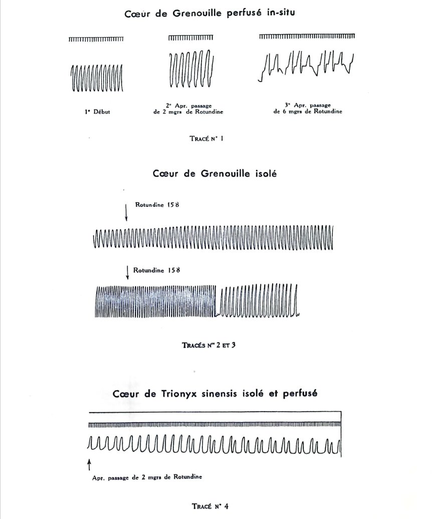 Étude préliminaire de l'action pharmacodynamique de la « Rotundine », alcaloïde nouveau retiré de « Stéphania rotunda » Comptes Rendus des Seances du Conseil de Recherches Scientifiques de l'Indochine 2: 61-66 1942 eurekamag.com/research/091/3…