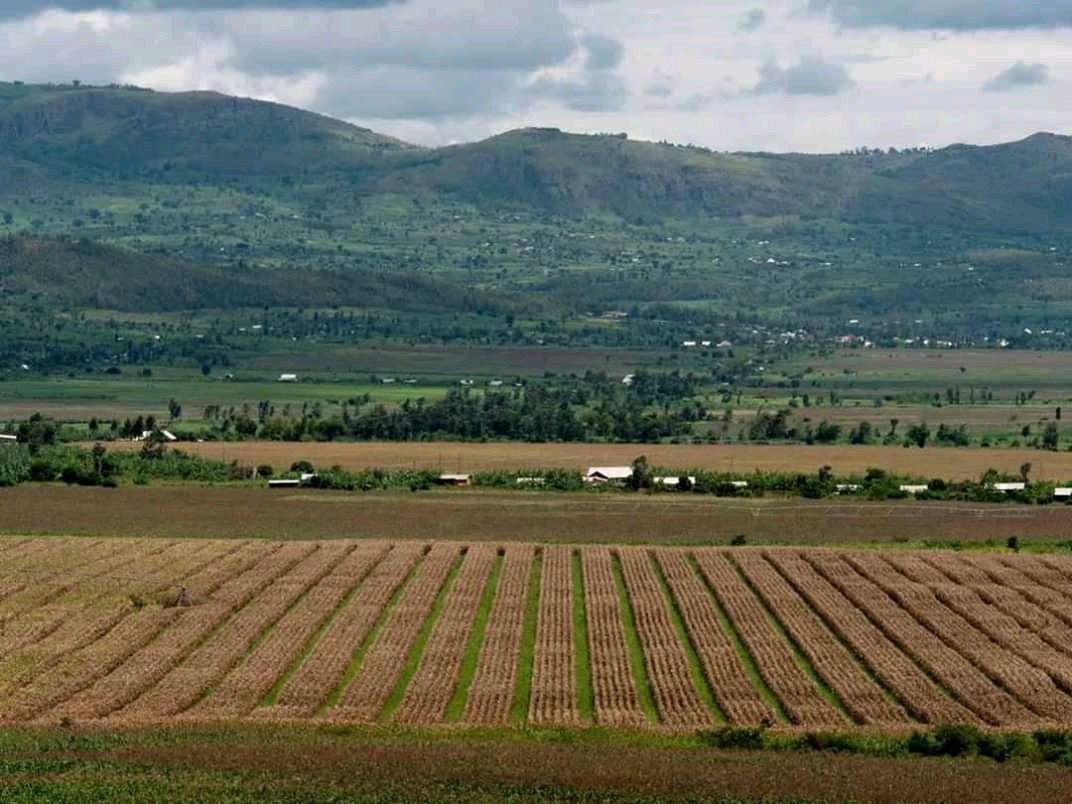 Nasho view side marks the great role as Kirehe tourism attraction site; stay visiting our @KireheDistrict @visitrwanda_now 🇷🇼

#VisitKirehe
#RwandaIsOpen