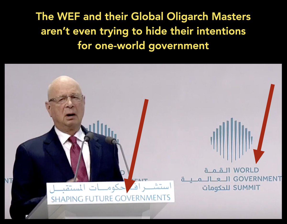 the WEF with Klaus Schwab and Yuval Harari
the Rothschilds
the Rockefellers
Bill Gates
King Charles
Queen Maxima
the puppet UN and their Agenda 2030
the puppet WHO and their OneHealth and “pandemic treaty”

The goal of these and other global oligarchs and puppet organizations is…
