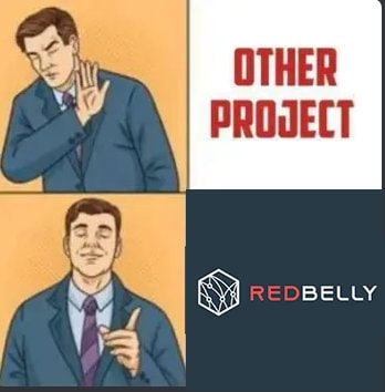 Some things are worth waiting for. IYKYK.
@RedbellyNetwork

$RBNT #TestnetLaunch #MainnetLaunch