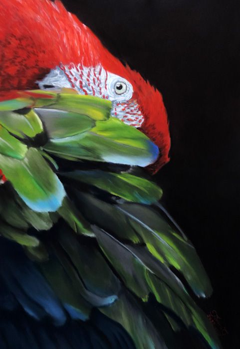 Congrats to Pastelart Timea.G for winning Best in Show in the Traditional category of 8th Colors Art Exhibition for her pastel - 'FEATHER CARE REF. E. KELLER'. buff.ly/4ab11wa #fusionartgallery #fusionartps #fusionart #onlineartgallery #Colors #Colorsartexhibition