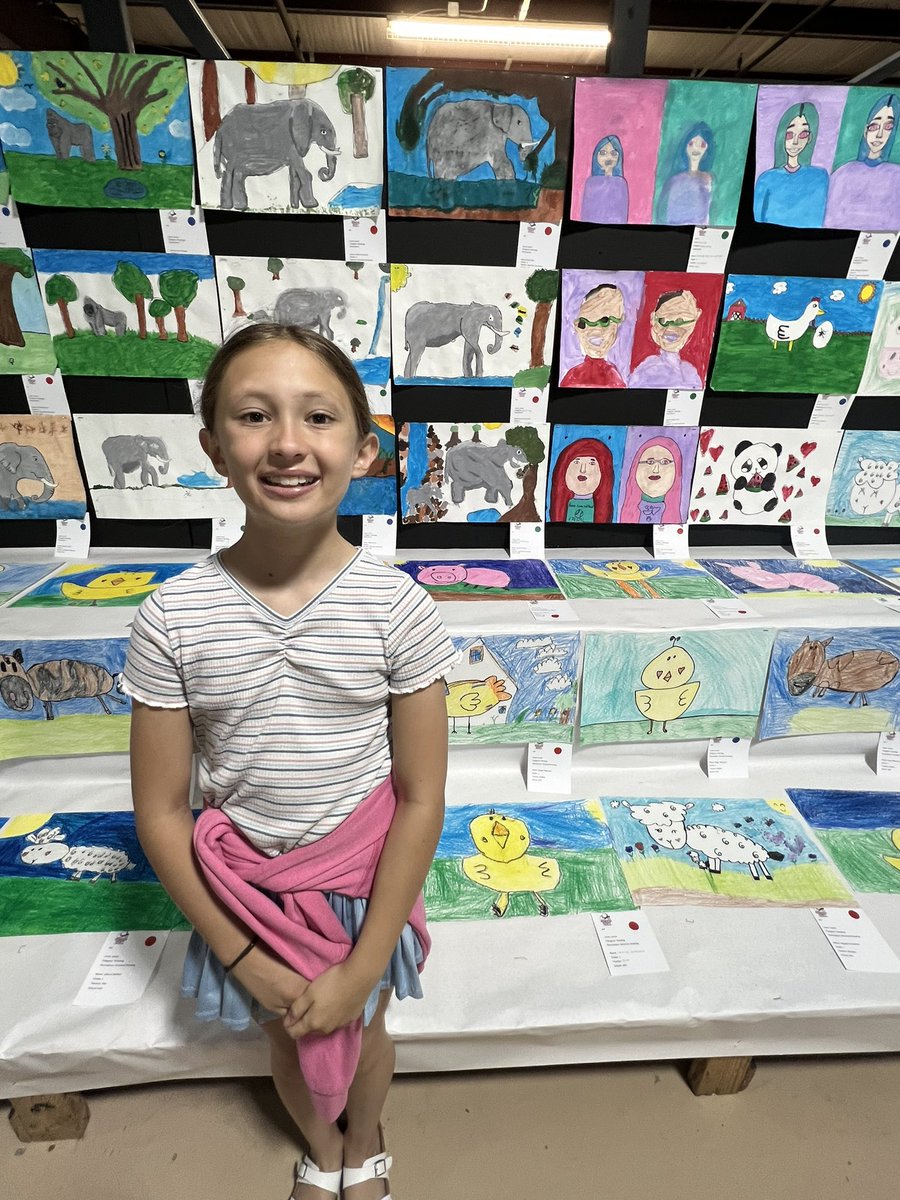 Texas History &amp; Art Projects entered into the Chambers County Youth Project Show 2024! #chamberscountyyouthprojectshow #anahuacpanthers