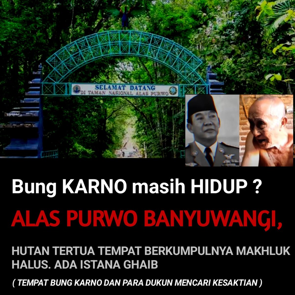 MINIMAL TAU INI !

Apa kalian pernah mendengar cerita bahwa Soekarno atau Bung karno presiden pertama kita katanya masih hidup ?.

ALAS PURWO DAN CARA MENDAPATKAN PEREWANGAN

A Thread.