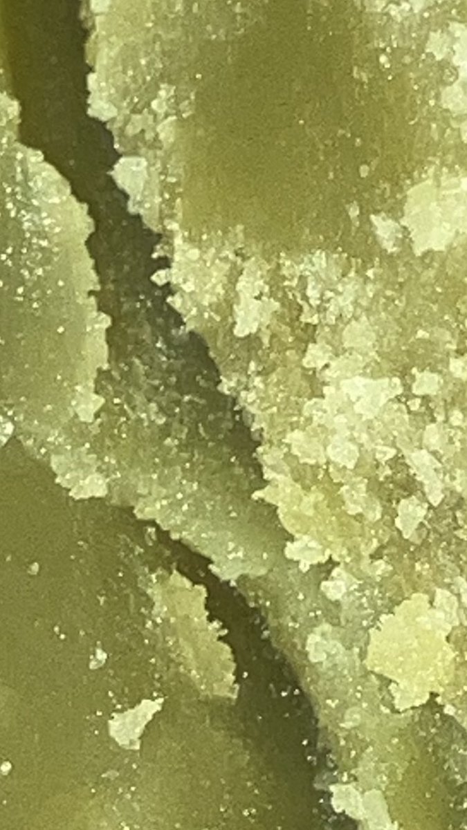 Jewels03122's tweet image. Made a fresh batch of butter its white widow, orange Creamsicle,gumbo,runtz,sunset sherbet all mixed let me tell you… I put some over my Chinese rice and I woke up Still lit out my mind. The taste and smell is amazing. #butter #CannabisCommunity #cannabutter #growyourown