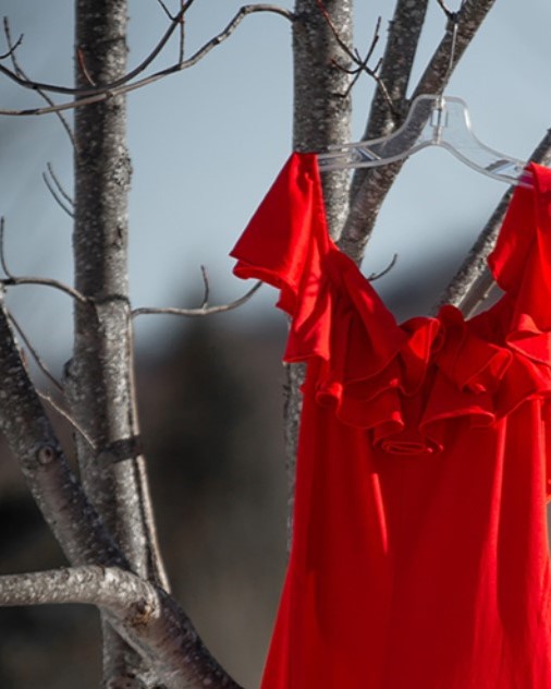 May 5th is Red Dress Day, meant to raise awareness & honour the lives of Missing and Murdered Indigenous Women and Girls (MMIWG). Today (and on other days) you may see red dresses, shirts or ribbons in park spaces. ❤️Please don’t disturb, move or remove them.❤️