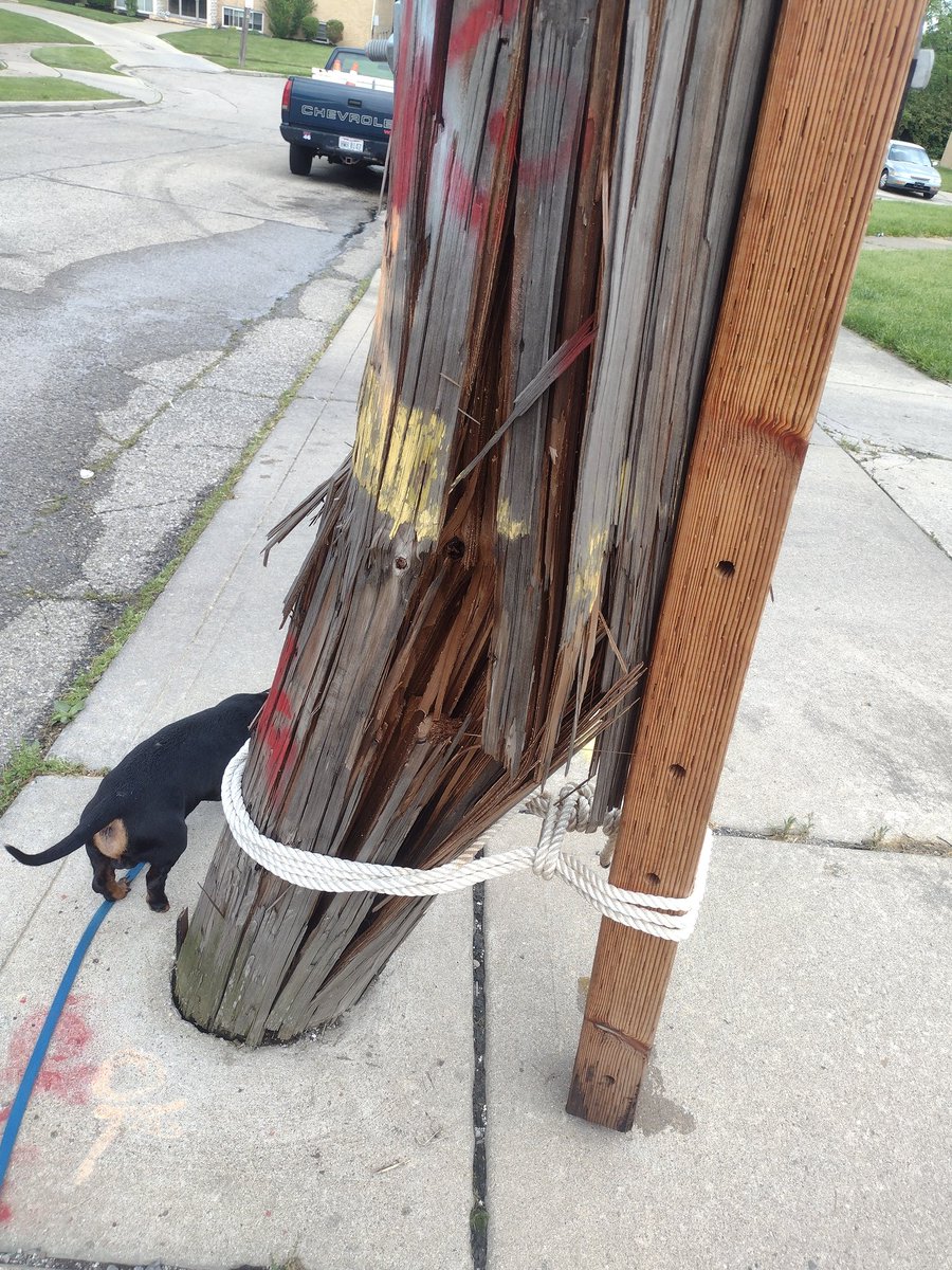 feel_sunshine's tweet photo. Hey @altafiber - you ever going to fix your pole on Camvic Terrace? The wreck was only in November. Not like it froze and splintered every where for six months or anything. https://t.co/G4aI7OAbwa