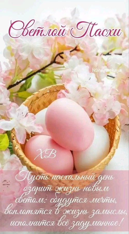 Татьяна Попова (@tatanap97779703) on Twitter photo 
