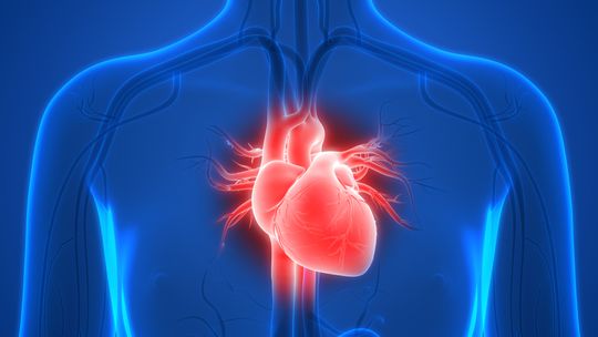 More Data Support Semaglutide for Obesity-Related HFpEF, Regardless of Diabetes Diagnosis

A pooled analysis from two industry-funded trials shows improved obesity and symptoms of heart failure with preserved ejection fraction. jwat.ch/4a2rJHd

@vgzmd #CardioTwitter