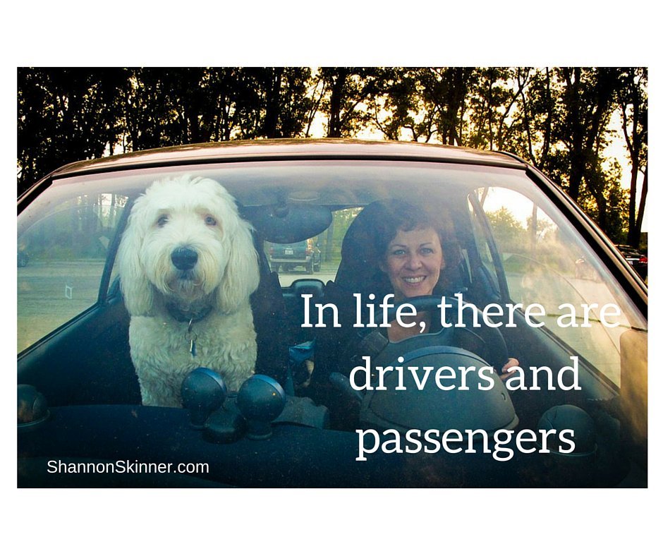 In life, there are drivers and passengers. 🧡😀

#OldEnglishSheepdog #sheepdog
