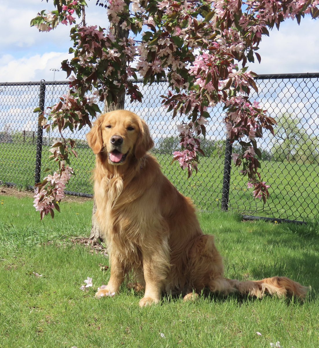 “Sunday is a time when you sit back and reflect on all the blessings that you have received. Smile at all the good things in your life.” – Unknown #WeekendSmiles Here’s an Idgie smile just for YOU!! 💜 #GRC