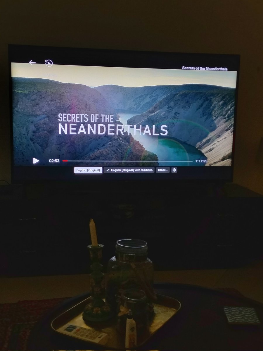 I spent Sunday afternoon watching #Secretsoftheneanderthals on #Netflix and I am amazed. 
Have read about #Shanidar a few times but the way Archaeology is conveyed to the public without adding unnecessary drama is the best thing about this doc.