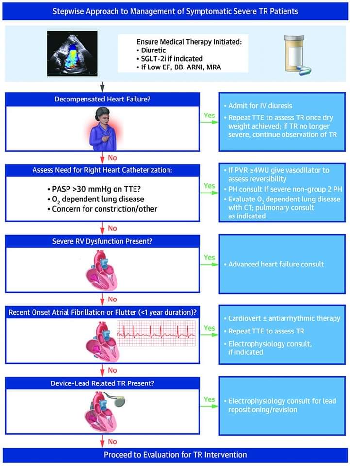 🔴 New Approaches to Assessment and Management of Tricuspid Regurgitation Before Intervention : State-Of-The-Art Review @JACCJournals

jacc.org/doi/10.1016/j.…
 #CardioEd #Cardiology #cardiotwiteros #CardioEd #cardiology #medtwitter #meded