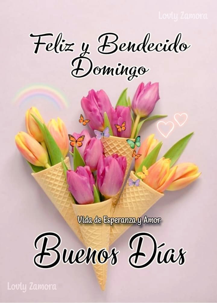 #BuenosDíasATodos hola good morning como estas te deseo un Maravilloso y feliz y bendecido Domingo en familia que Dios bendiga tu hogar y tu familia Amén Gracias Dios po la vida y por mi familia en el nombre de Jesús Amén. #FelizDomingo #bendiciones #HappySunday #BlessedSunday .