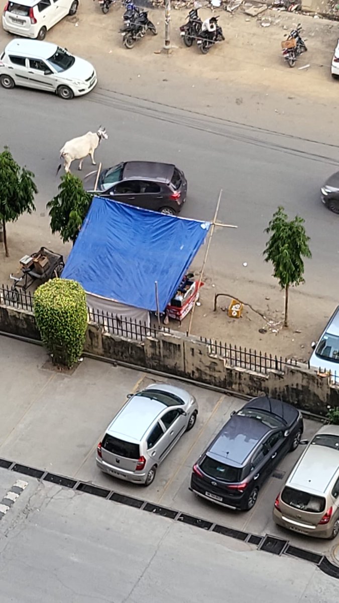 ⁦@OfficialGNIDA⁩ ⁦@InduPrakashPCS⁩ ⁦@SHObisrakh⁩ ⁦@CP_Noida⁩ ⁦@noidapolice⁩ this illegal shop has come up since last 2-3 days right at the boundary wall of ⁦@LaResidentiaGNW⁩ when maintenance objected the guy said he has police permission !