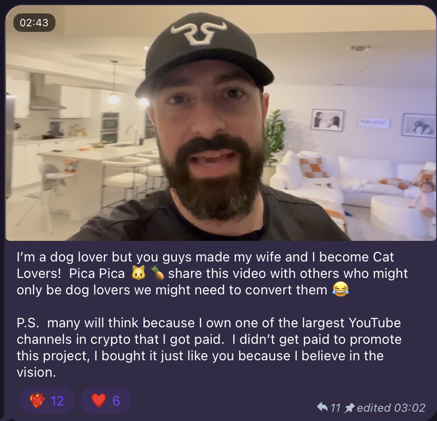 Pineapple Cat tweet media