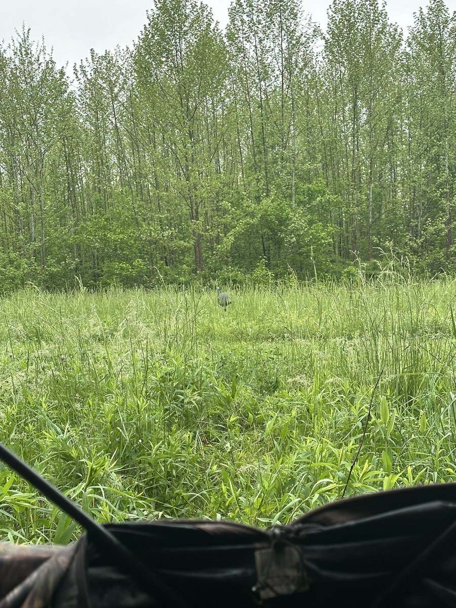 Austin City Saloon tweet media