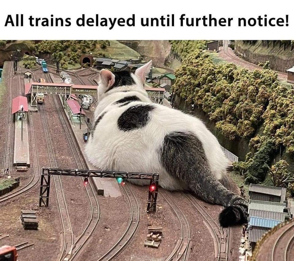 Delays reported… anyone have any treats?