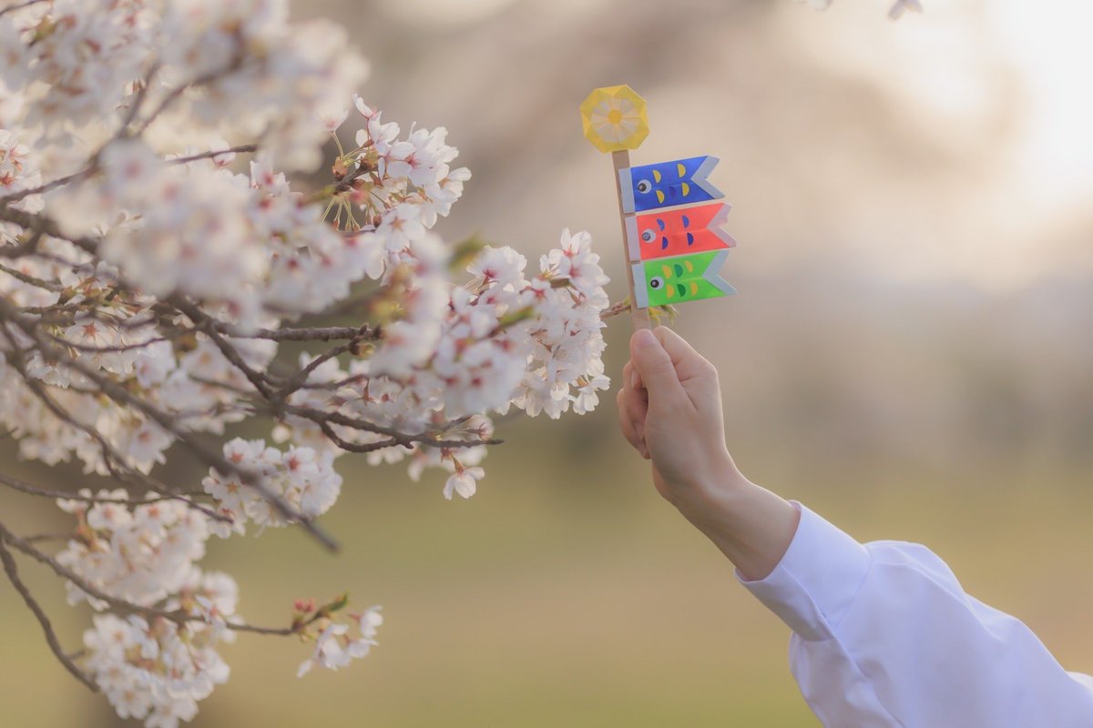 ソメイヨシノ🌸

#こどもの日