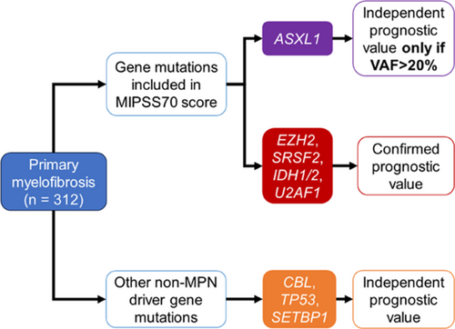 What is the prognostic impact of non-driver gene mutations and variant allele frequency in primary myelofibrosis? Please check out this study from the Spanish MPN Group (GEMFIN)
Free access in our April 2024 issue:
doi.org/10.1002/ajh.27…
#PMF #MPNsm #hemepath #molpath