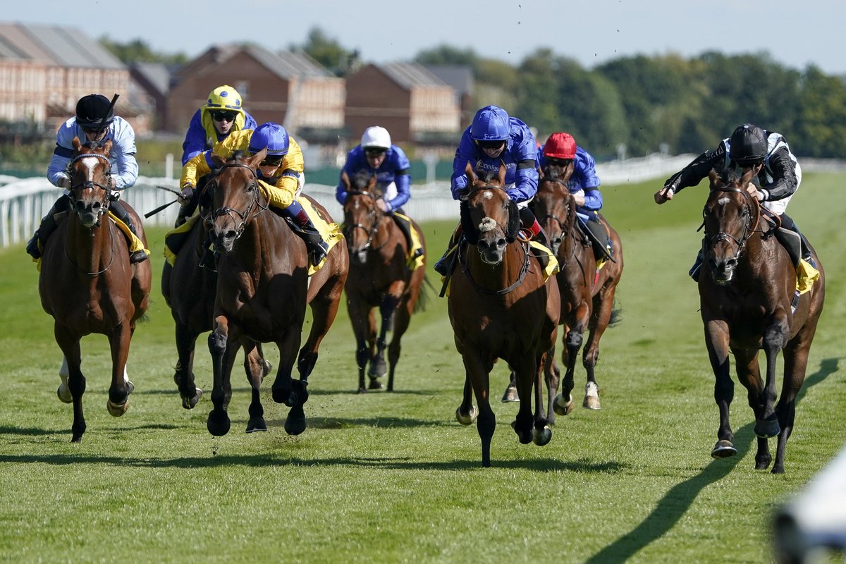 🏇 Hughie Morrison winner! 💛💙 Stay Alert is back with a bang, taking the Group 2 William Hill Dahlia Stakes at @NewmarketRace.