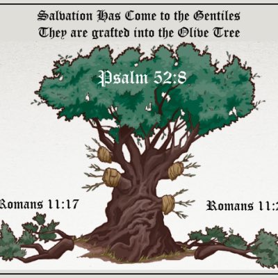 God does not reject OR replace Israel. Paul repeats it 3 times in Romans 11. God has future plans for Israel. Period. ”I ask, then, 𝗵𝗮𝘀 𝗚𝗼𝗱 𝗿𝗲𝗷𝗲𝗰𝘁𝗲𝗱 𝗵𝗶𝘀 𝗼𝘄𝗻 𝗽𝗲𝗼𝗽𝗹𝗲, 𝘁𝗵𝗲 𝗻𝗮𝘁𝗶𝗼𝗻 𝗼𝗳 𝗜𝘀𝗿𝗮𝗲𝗹? 𝗢𝗳 𝗰𝗼𝘂𝗿𝘀𝗲 𝗻𝗼𝘁! I myself am an…