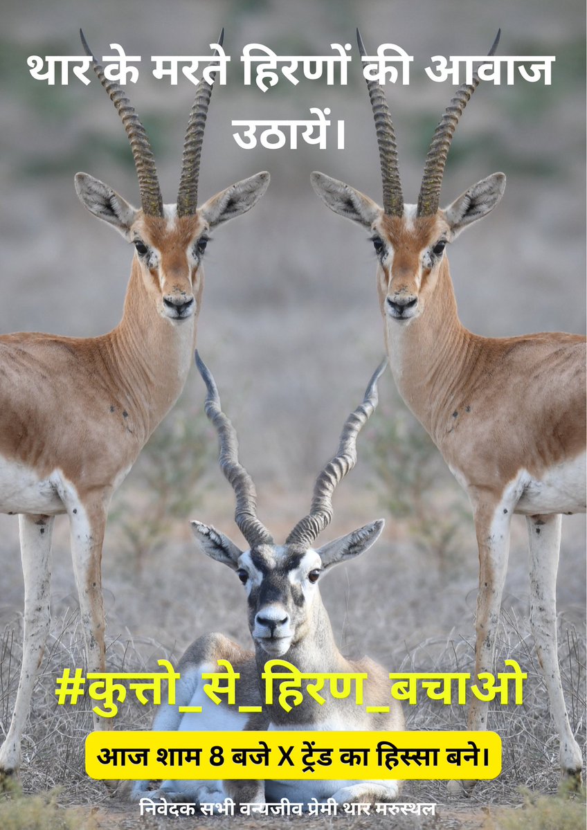 वन्य जीवों की रक्षा भी आपकी जिम्मेदारी है कृपया ध्यान दें #कुत्तो_से_हिरण_बचाओ @BhajanlalBjp @Sanjay4India1 @ForestRajasthan @moefcc @RajGovOfficial #कुत्तो_से_हिरण_बचाओ