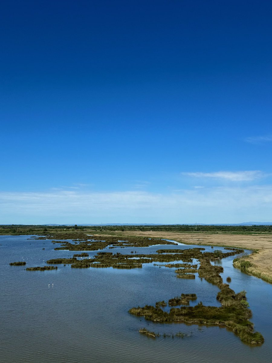 📍 Provence &amp; Camargue, mai 2024.
#SpringBreak