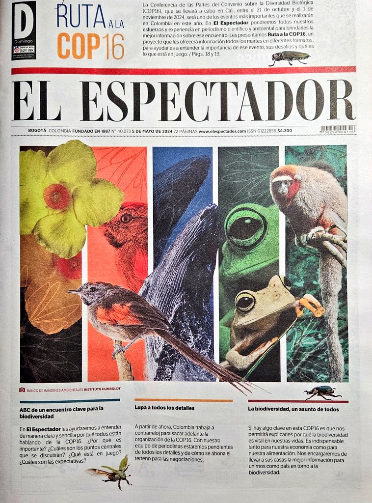 Una portada para contarles que nos vamos a poner la 10 con la #COP16. 

Hay un gran equipo con el que les vamos a recordar por qué hay que pensar todos los días en la biodiversidad. 🍃

Aquí empezamos: 

elespectador.com/ambiente/ruta-…