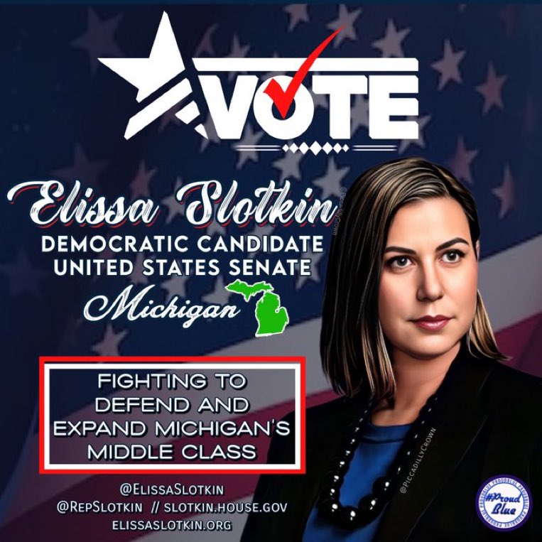 #ProudBlue 
Elissa Slotkin is the U.S. rep from Michigan's 7th congressional district since 2019. She is a Democratic candidate for the U.S. Senate in 2024. Elissa believes Gov’t works best with 2 healthy parties that debate the issues facing Americans
ElissaSlotkin.org
