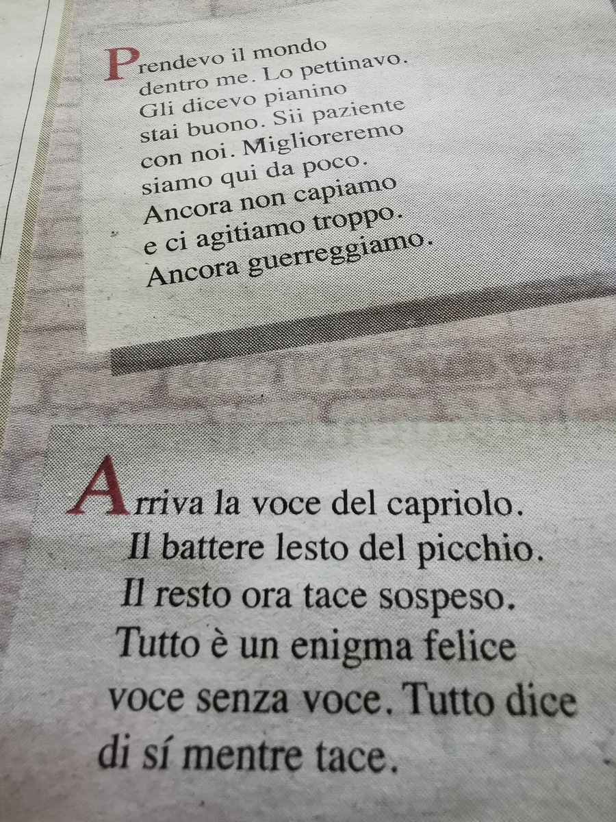 #UnRifugioNelVerde #VentagliDiParole @VentagliP #5maggio @La_Lettura #MariangelaGualtieri