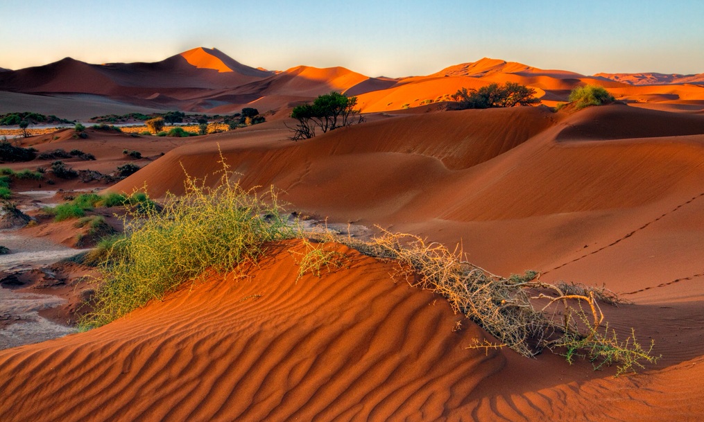 #photography #desert #Namibia