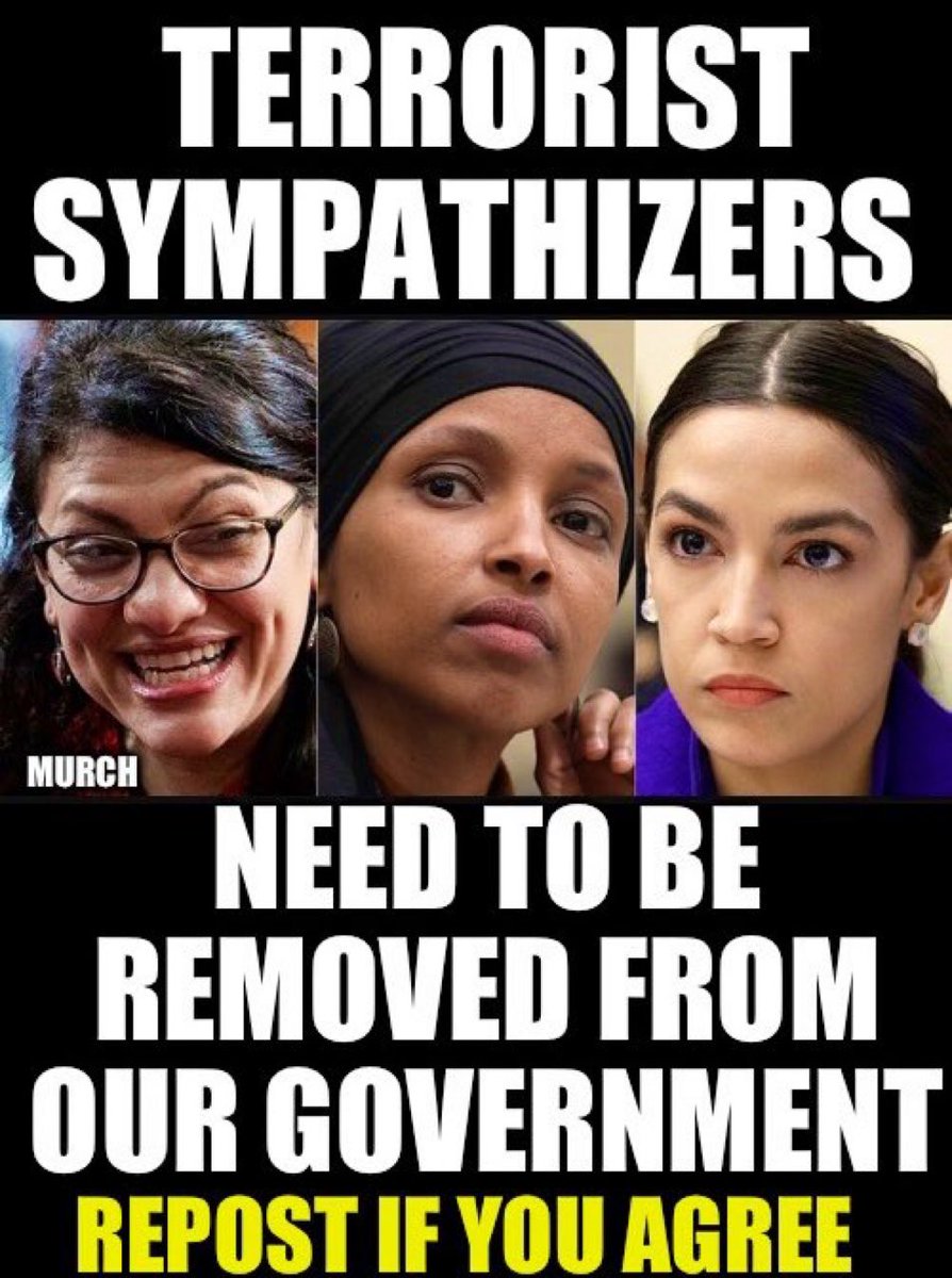 Every….. last….. single….one of them. There is no place for Hamas, for radical Islam or Sharia law in America. And there is no place for supporters or sympathizers, especially in our own government. Who wants to see them all removed? 🙋‍♂️