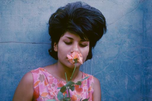 Young Persian girl with a rose, Shiraz, Iran, 1964. 

📷: Roland & Sabrina Michaud