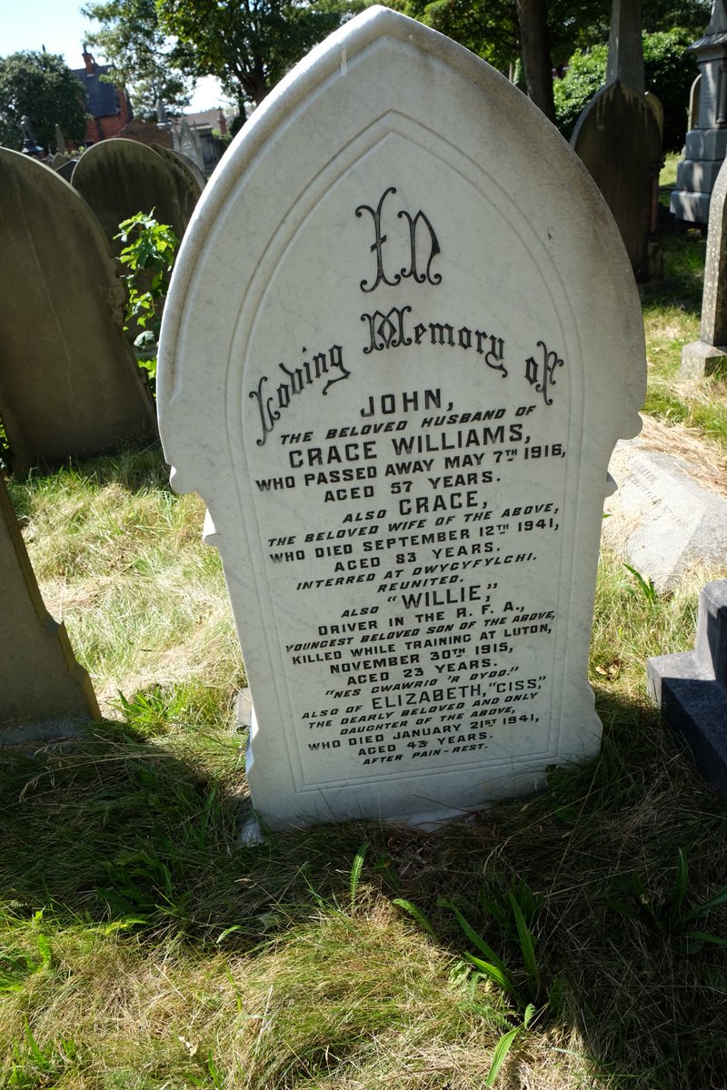 William was killed in a tragic accident in Luton Bedfordshire. He was knocked to the ground and trampled by horses returning from parade. Horses were spooked by a motor lorry and charged a group of soldiers knocking two to the ground and killing William. Duke St Cem, Southport