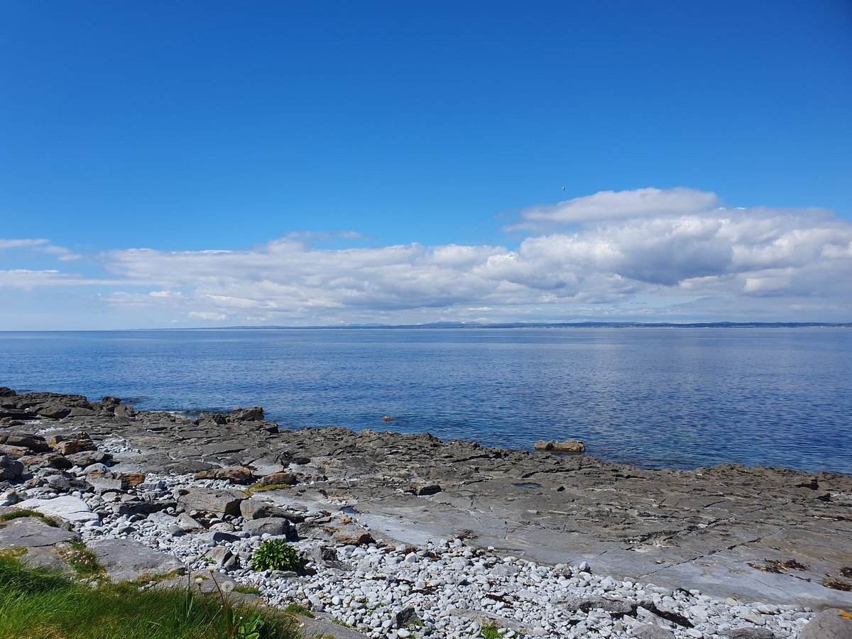 Arlene Harris tweet media